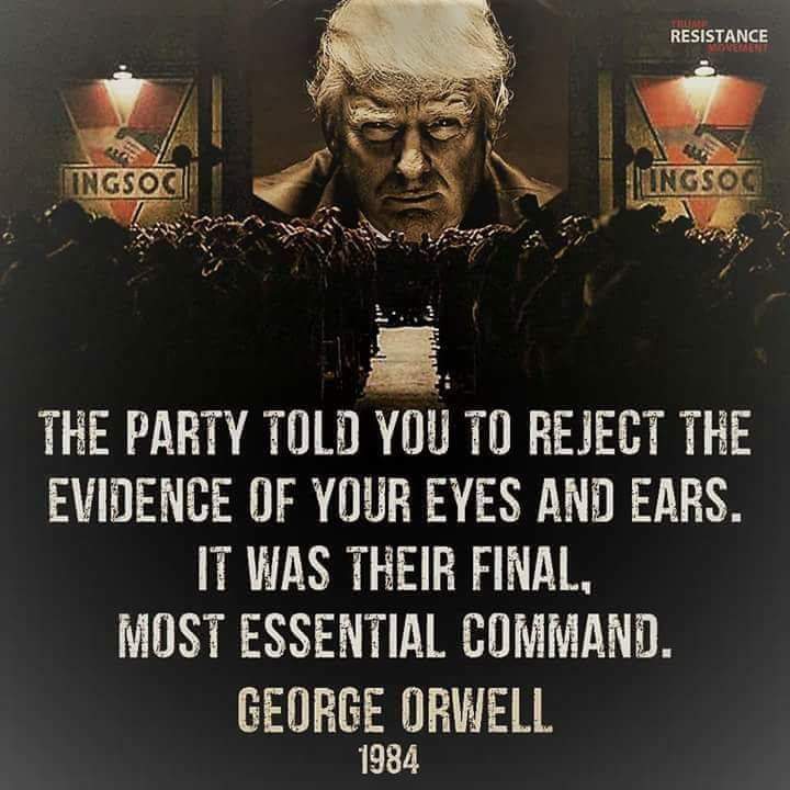 The party told you to reject the evidence of your eyes and ears. It was their final, most essential command. - George Orwell, 1984